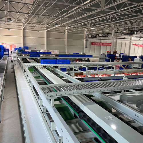 tomato sorting machine tomato sorting machine