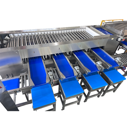 weighing system weighing system
